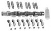 SWAG 40 32 0003 Camshaft Kit